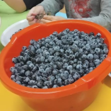 Szüreti mulatság class=