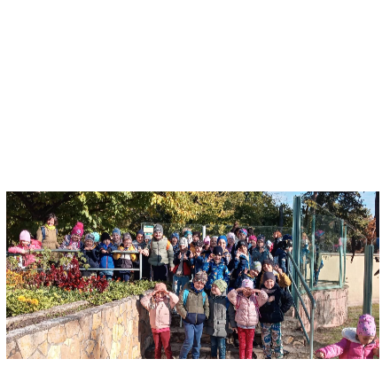 ÁLLATKERTI KIRÁNDULÁS