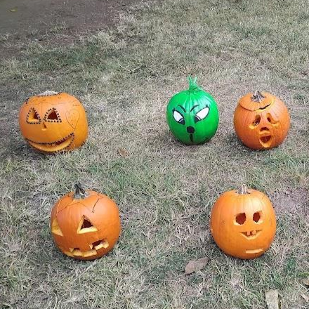 Tőkfaragó délután